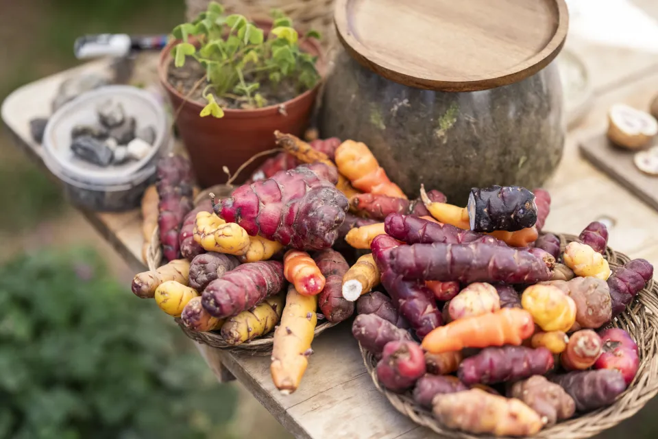 Colorful native potatoes and produce on display
